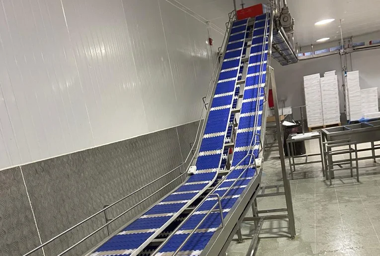 transportadora maestranza del sur